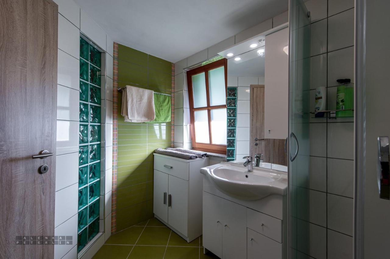 Zidan'Ca Rosel Apartment Dolenjske Toplice Ngoại thất bức ảnh