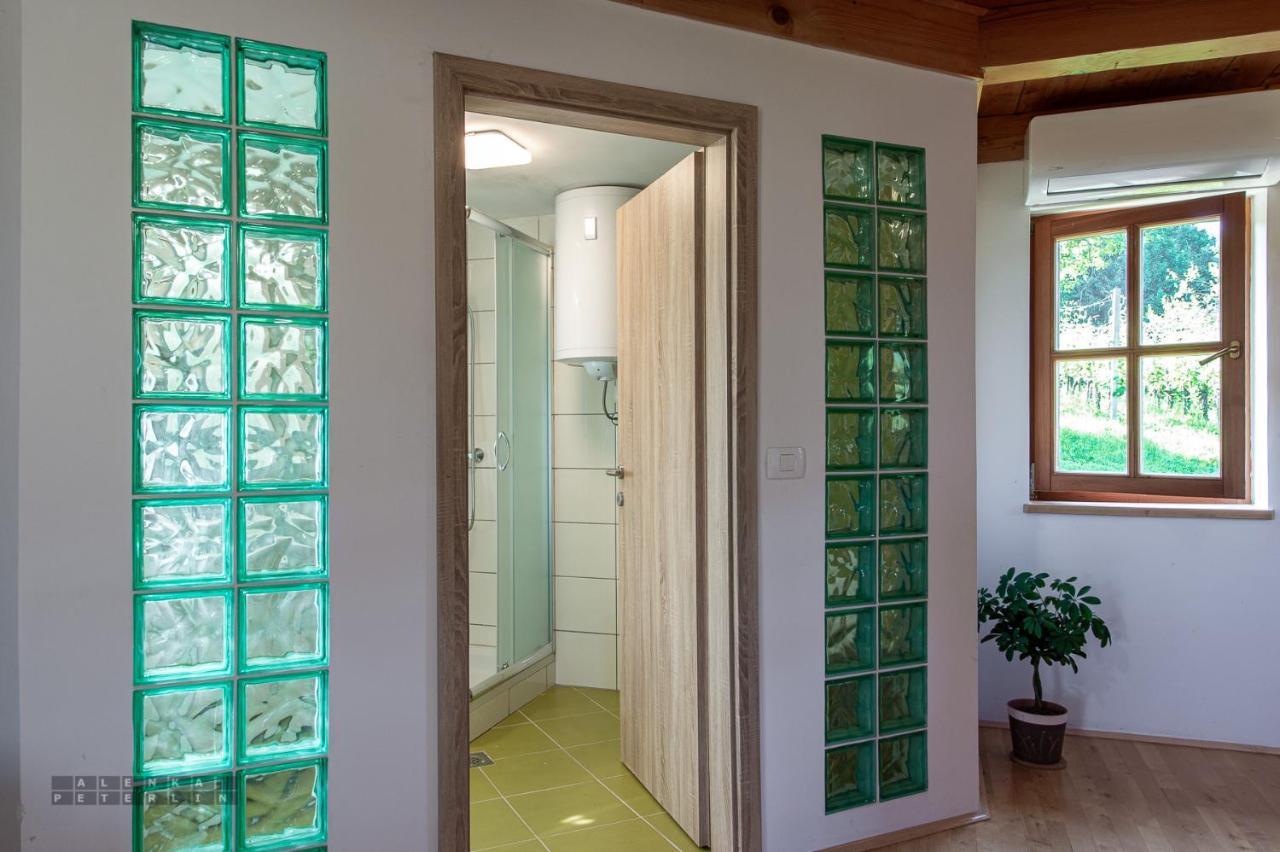 Zidan'Ca Rosel Apartment Dolenjske Toplice Ngoại thất bức ảnh